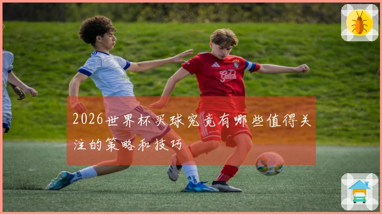 2026世界杯买球究竟有哪些值得关注的策略和技巧