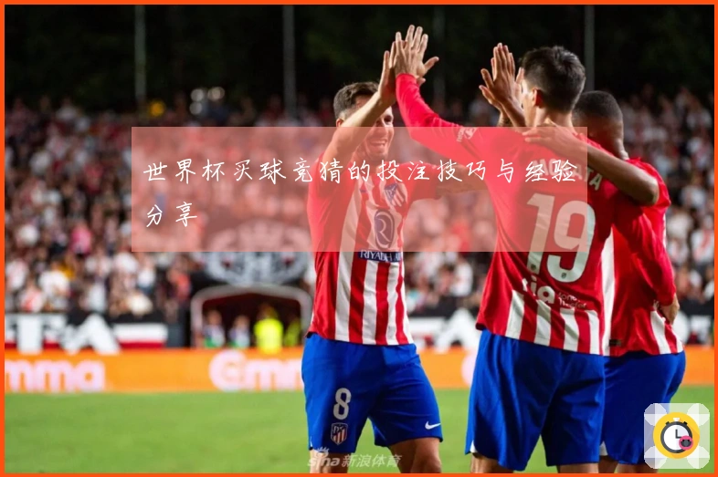 世界杯买球竞猜的投注技巧与经验分享