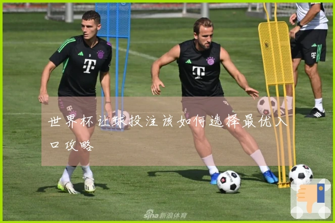 世界杯让球投注该如何选择最优入口攻略