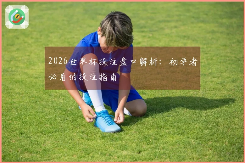 2026世界杯投注盘口解析：初学者必看的投注指南