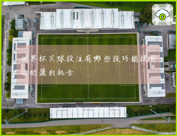 世界杯买球投注有哪些技巧能提升你的盈利机会
