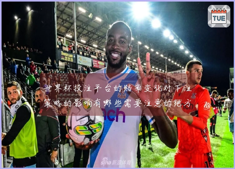 世界杯投注平台的赔率变化对下注策略的影响有哪些需要注意的地方？