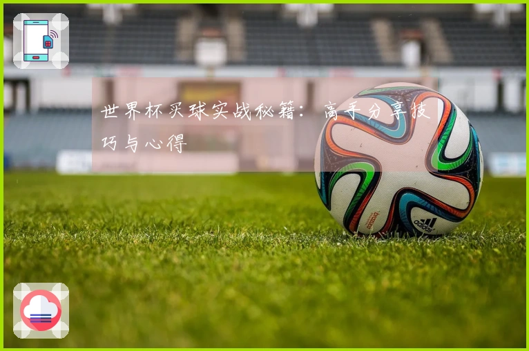 世界杯买球实战秘籍：高手分享技巧与心得